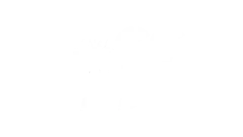 OFF OFF