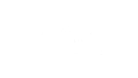 Discovery H&H Discovery H&H
