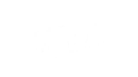 VIVA VIVA