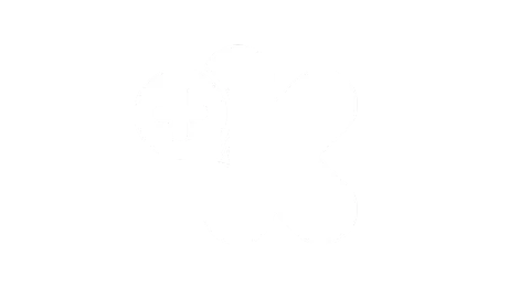 Discovery Kids Discovery Kids